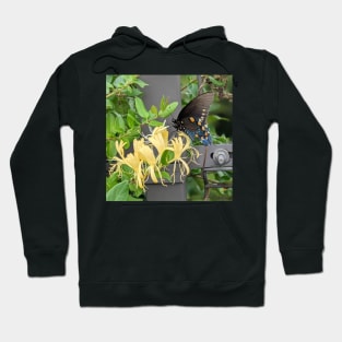 Butterfly on Metal Bridge Photographic Image Hoodie